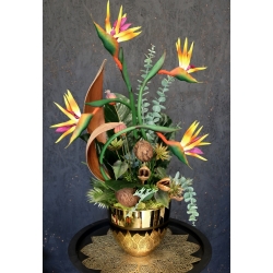 Kompozycja PREMIUM STRELICJE gumowe LUX w złotej osłonce